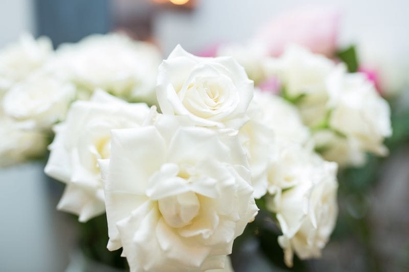 Small Talk: An Interview with Aspen Florist Small Talk: An Interview with Aspen Florist